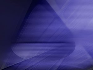 平台全方位解析